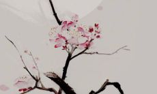 2022年2月6日开张好吗 今日营业怎么样