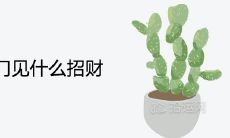 入户开门见什么招财 进门正对的吉利摆件