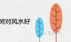 大门口种什么树对风水好又招财旺宅