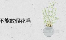 客厅不能放假花吗 代表什么寓意