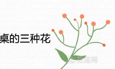 最适合摆放在餐桌上的三种花