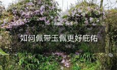 如何佩带玉佩更好庇佑