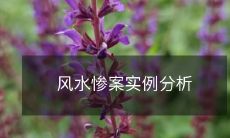 风水惨案实例分析