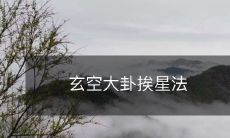 玄空大卦挨星法