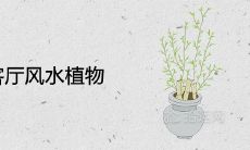 十大客厅风水植物哪些招财旺运又好养