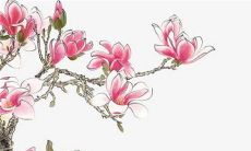 2023年1月9日可以动土吗 老黄历查询