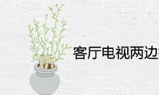 客厅电视两边摆什么植物旺财吉利又镇宅