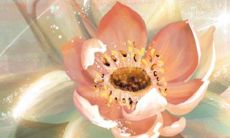 2023年1月11日动土好不好 是建房动土吉利日子吗