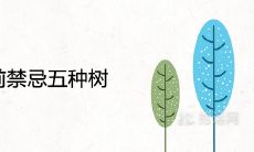 门前禁忌五种树