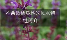 不合适栖身地的风水特性简介