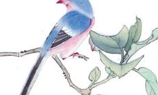 2022年11月2日是开张吉日吗 这天开业好不好