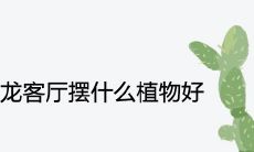 属龙客厅摆什么植物好旺财