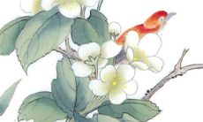 2022年11月1日开张日子好么 商铺营业吉利吗