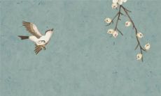 2022年11月5日适合开张吗 开店日子吉利吗