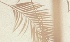 2022年开运吉祥物 佩戴什么吉祥物比较好