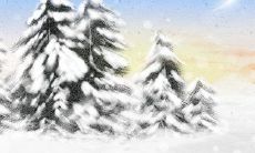 狮子座的未来情人[图]