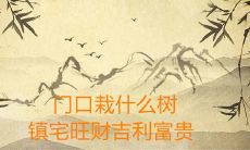 门口栽什么树镇宅旺财吉利富贵