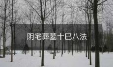 阴宅葬墓十巴八法