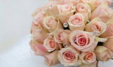 2023年3月1日结婚怎么样 办婚礼请宴吉利吗