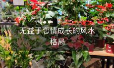 无益于恋情成长的风水格局