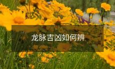 龙脉吉凶如何辨