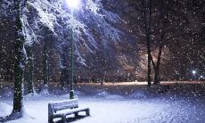 顾方红姓名评分86分