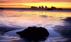 姜瑞豐姓名评分86分