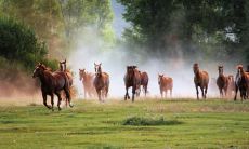 鲍荣玲姓名评分81分