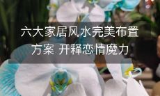 六大家居风水完美布置方案 开释恋情魔力