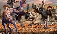 成彤姓名评分73分