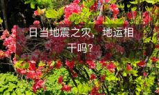 日当地震之灾,地运相干吗?