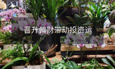 晋升偏财带动投资运