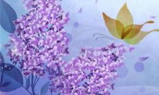 十二生肖小运播报:2023年2月1日特吉生肖一览表