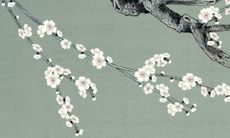 2022年必有添丁之喜的生肖 不同月份的虎宝宝运势