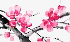 2023年属兔犯太岁的月份 2023年属兔犯太岁怎么化解