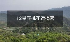 12星座桃花运揭密