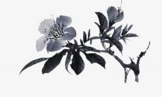 2023年属蛇女感情运 顺顺利利爱情甜蜜