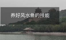 养好风水鱼的技能
