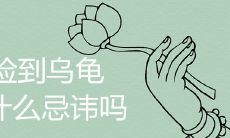 捡到乌龟有什么忌讳吗