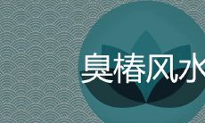 臭椿树在风水上的说法是什么 种在庭院有哪些忌讳