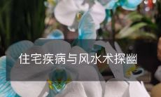 住宅疾病与风水术探幽