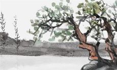 2023生肖鸡生兔宝宝好吗 时机未到等到来年