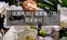 住房周围环境要留心其风水身分