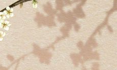 好听名字的农产品商贸公司 说明产品无污染公害