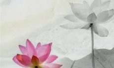 2023年初九适合开业吗 2023年大年初九开业好吗