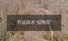 开运风水‘招桃花’