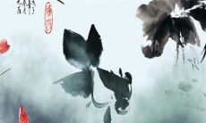 2023兔年二月这个月哪天适合开店开业 开业黄道吉日查询