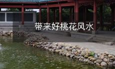 带来好桃花风水