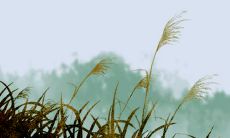 如何起洋气的商贸公司名字 寓意公司能有很好的发展