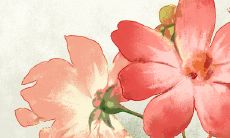 草字头的商贸公司名字有哪些 诗意又美好的名称